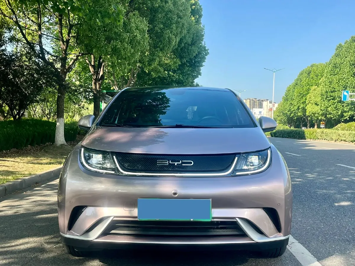 2023 BYD Dolphin BEV 44.928KWH,autocango,china used car exporter,china ev exporter,chinese used car exporter,chinese used ev exporter