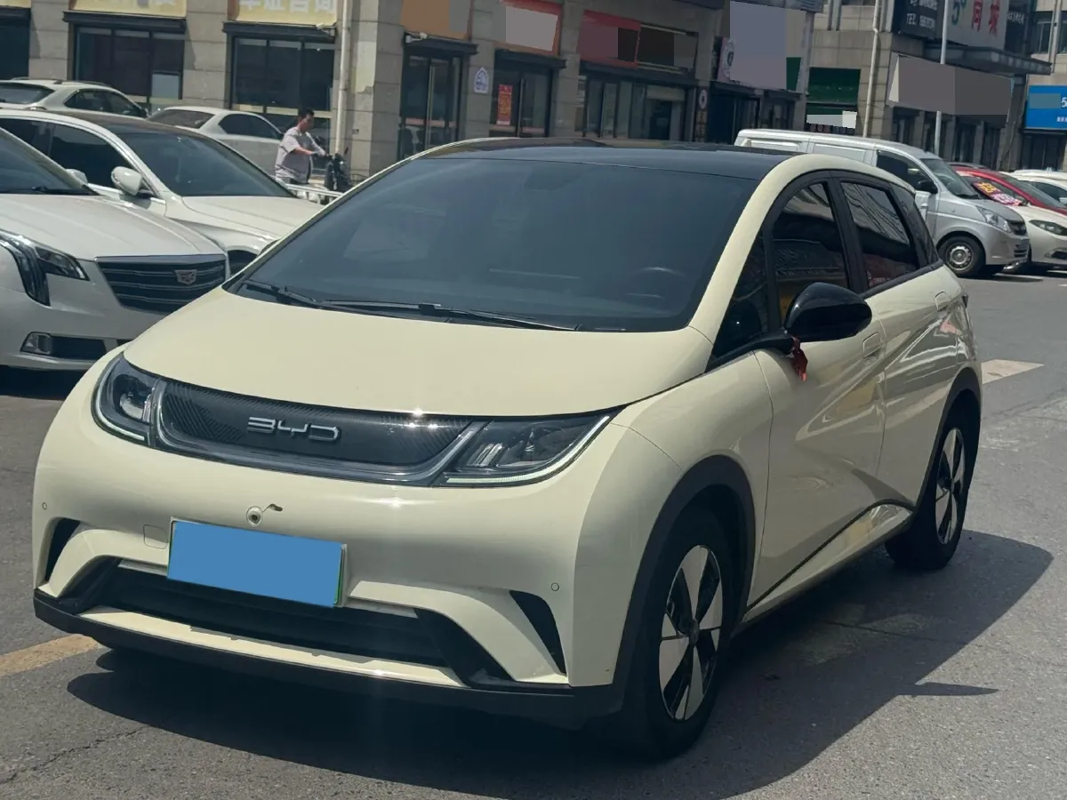 2021 BYD Yuan Pro BEV 50.1KWH,autocango,china used car exporter,china ev exporter,chinese used car exporter,chinese used ev exporter