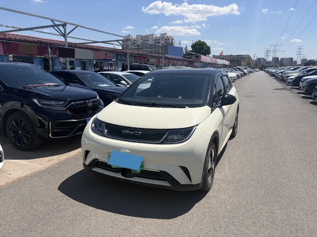 2023 BYD Dolphin BEV 44.928KWH,autocango,china used car exporter,china ev exporter,chinese used car exporter,chinese used ev exporter