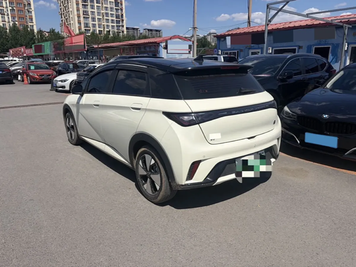 2023 BYD Dolphin BEV 44.928KWH,autocango,china used car exporter,china ev exporter,chinese used car exporter,chinese used ev exporter