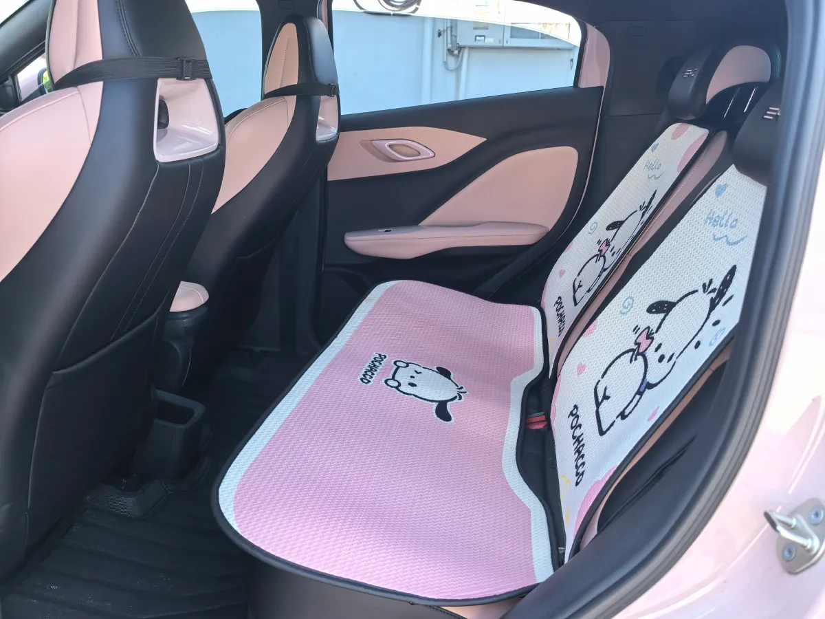 2024 BYD Seagull BEV 30.08KWH,autocango,china used car exporter,china ev exporter,chinese used car exporter,chinese used ev exporter
