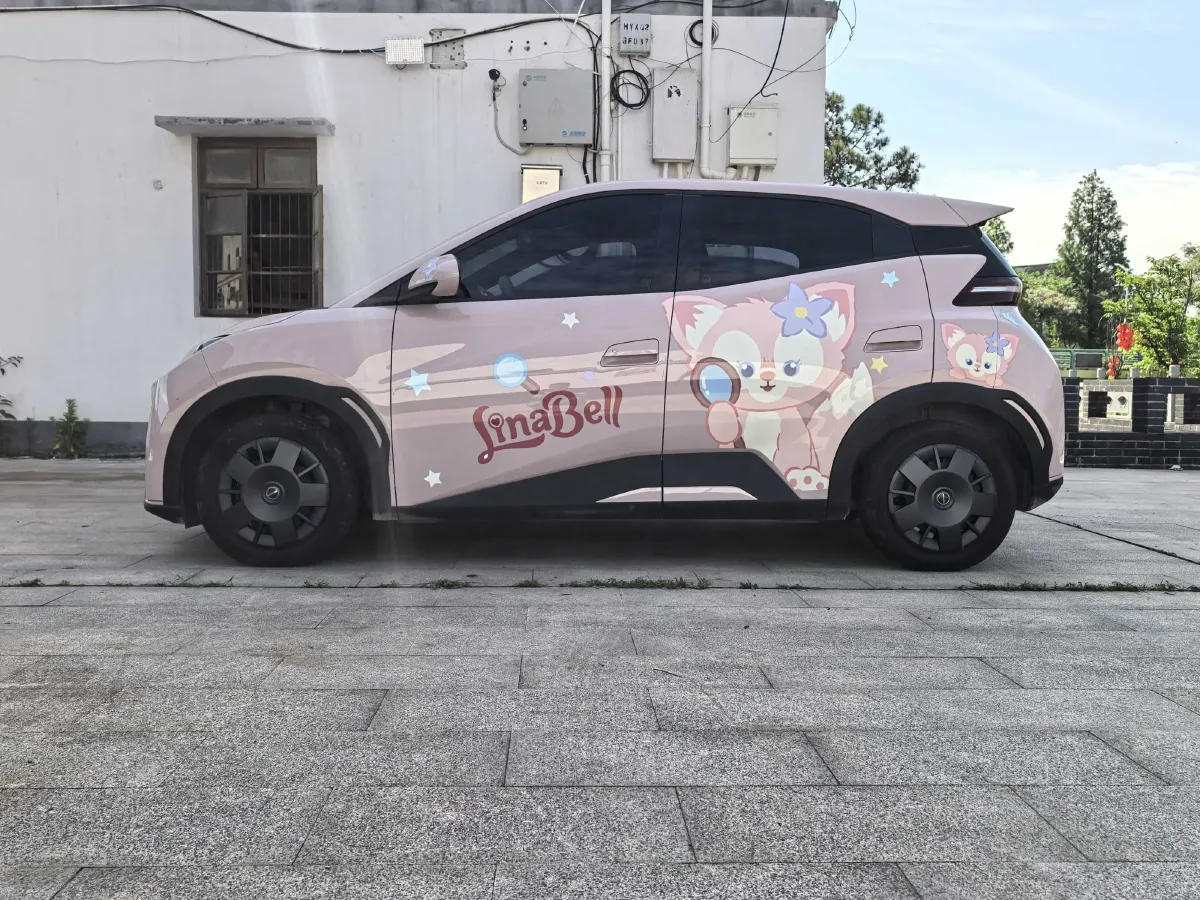 2024 BYD Seagull BEV 30.08KWH,autocango,china used car exporter,china ev exporter,chinese used car exporter,chinese used ev exporter