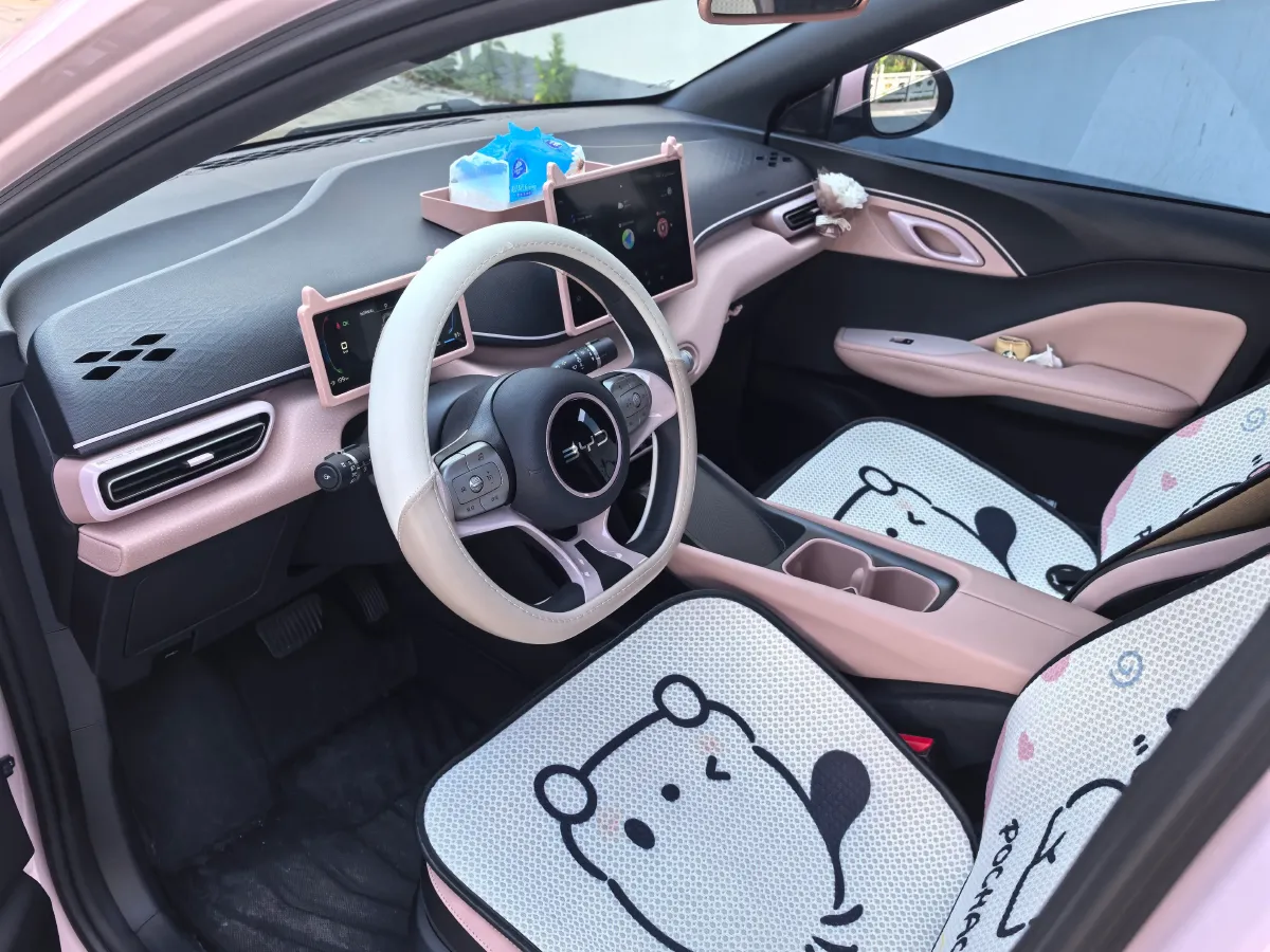 2024 BYD Seagull BEV 30.08KWH,autocango,china used car exporter,china ev exporter,chinese used car exporter,chinese used ev exporter