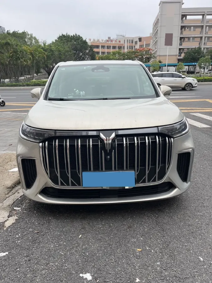 2022 Voyah Dream 1.5T 136HP L4 PHEV 25.57KWH,autocango,china used car exporter,china ev exporter,chinese used car exporter,chinese used ev exporter