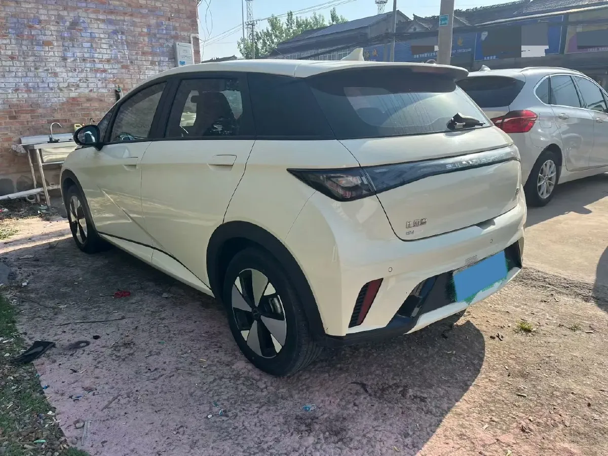 2023 BYD Dolphin BEV 44.928KWH,autocango,china used car exporter,china ev exporter,chinese used car exporter,chinese used ev exporter