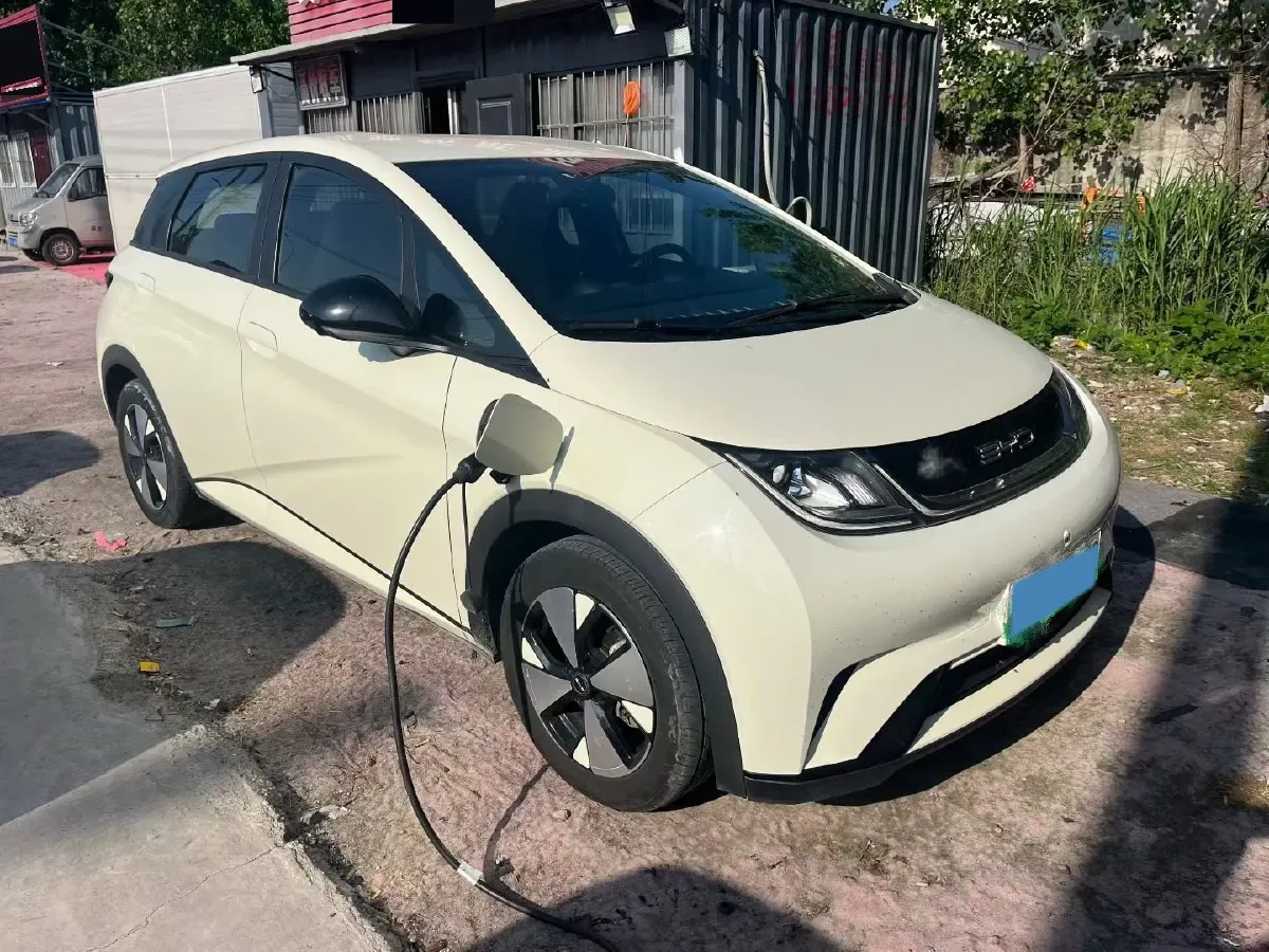 2023 BYD Dolphin BEV 44.928KWH,autocango,china used car exporter,china ev exporter,chinese used car exporter,chinese used ev exporter