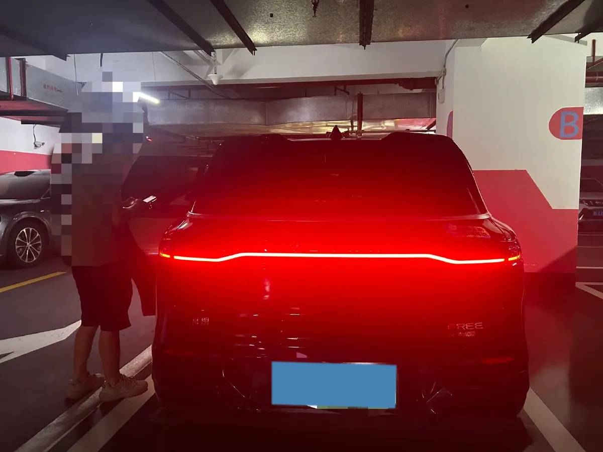 2024 Voyah FREE 1.5T 150HP L4 REEV 39.2KWH,autocango,china used car exporter,china ev exporter,chinese used car exporter,chinese used ev exporter