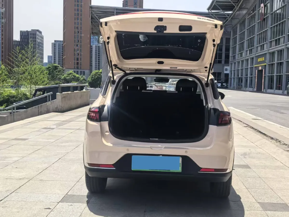 2023 Neta AYA BEV,autocango,china used car exporter,china ev exporter,chinese used car exporter,chinese used ev exporter
