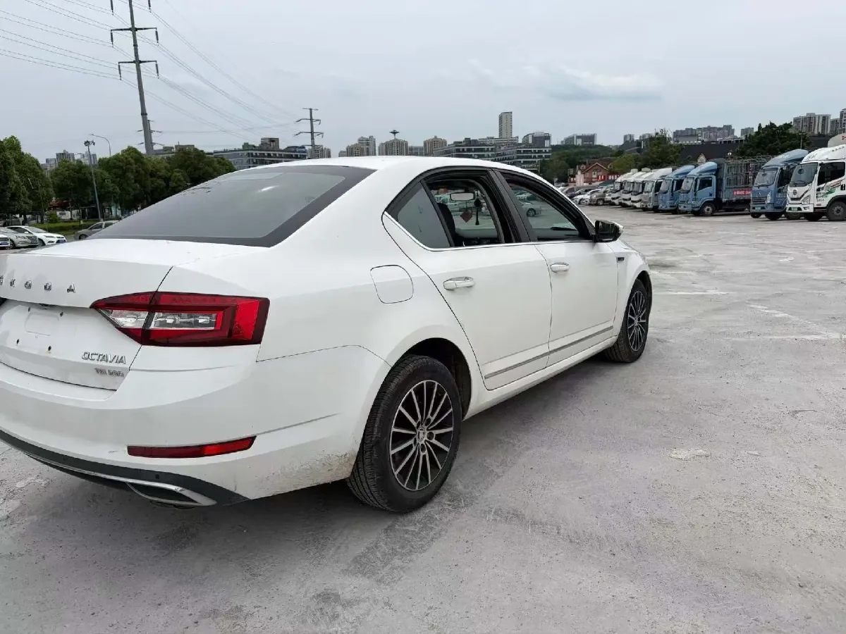 2019 Skoda Octavia 1.2T 116HP L4 7DCT,autocango,china used car exporter,china ev exporter,chinese used car exporter,chinese used ev exporter