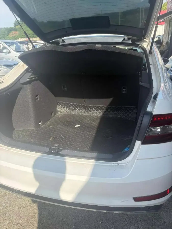 2019 Skoda Octavia 1.2T 116HP L4 7DCT,autocango,china used car exporter,china ev exporter,chinese used car exporter,chinese used ev exporter