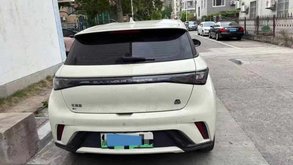 2023 BYD Dolphin BEV 44.928KWH,autocango,china used car exporter,china ev exporter,chinese used car exporter,chinese used ev exporter