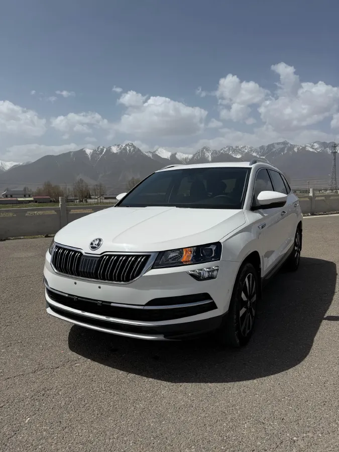 2020 Skoda Karoq 1.4T 150HP L4 7DCT,autocango,china used car exporter,china ev exporter,chinese used car exporter,chinese used ev exporter