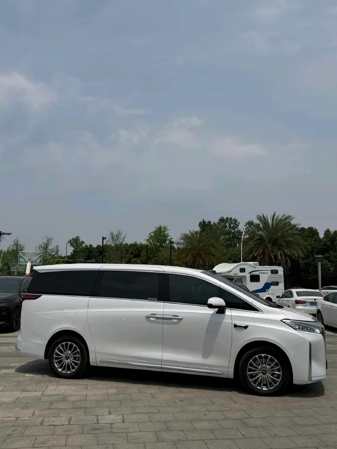 2025 WEY HighMountain 1.5T 170HP L4 4DHT PHEV,autocango,china used car exporter,china ev exporter,chinese used car exporter,chinese used ev exporter