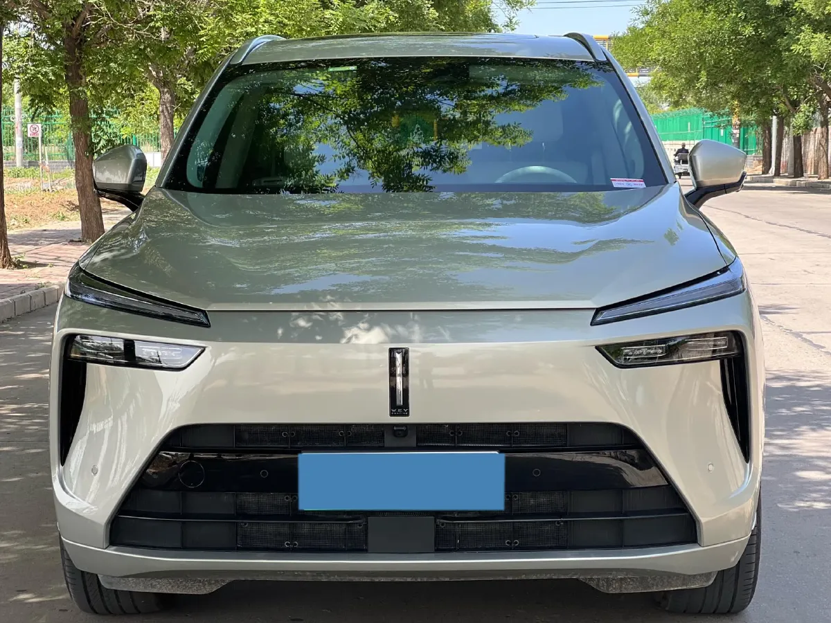 2023 WEY BlueMountain 1.5T 154HP L4 2DHT PHEV 44.5KWH,autocango,china used car exporter,china ev exporter,chinese used car exporter,chinese used ev exporter