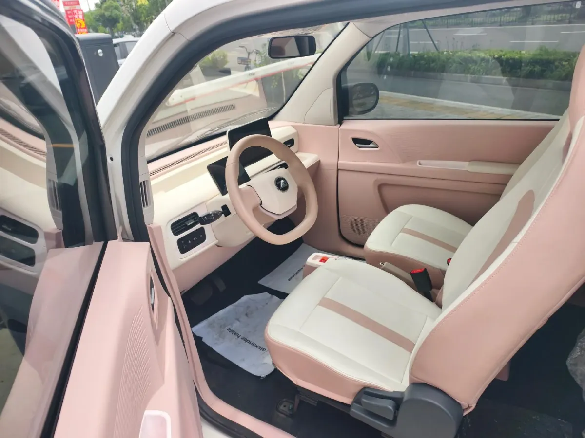 2024 ZD Rainbow BEV 17.18KWH,autocango,china used car exporter,china ev exporter,chinese used car exporter,chinese used ev exporter