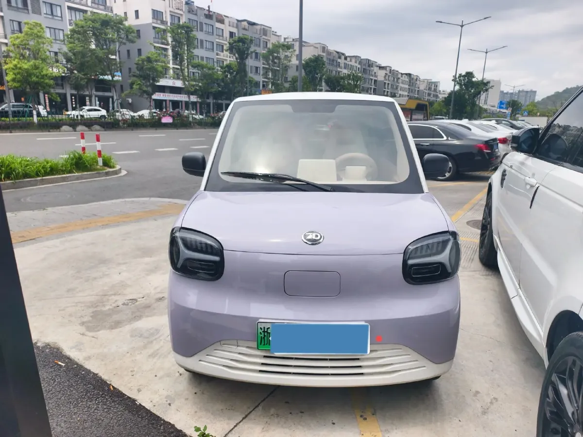 2024 ZD Rainbow BEV 17.18KWH,autocango,china used car exporter,china ev exporter,chinese used car exporter,chinese used ev exporter