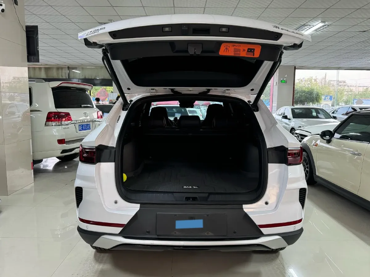 2021 SRM Sea Lion EV BEV 41.86KWH,autocango,china used car exporter,china ev exporter,chinese used car exporter,chinese used ev exporter