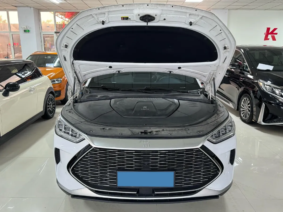 2021 SRM Sea Lion EV BEV 41.86KWH,autocango,china used car exporter,china ev exporter,chinese used car exporter,chinese used ev exporter