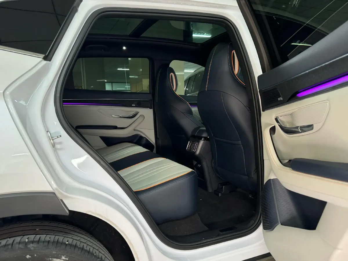 2021 SRM Sea Lion EV BEV 41.86KWH,autocango,china used car exporter,china ev exporter,chinese used car exporter,chinese used ev exporter