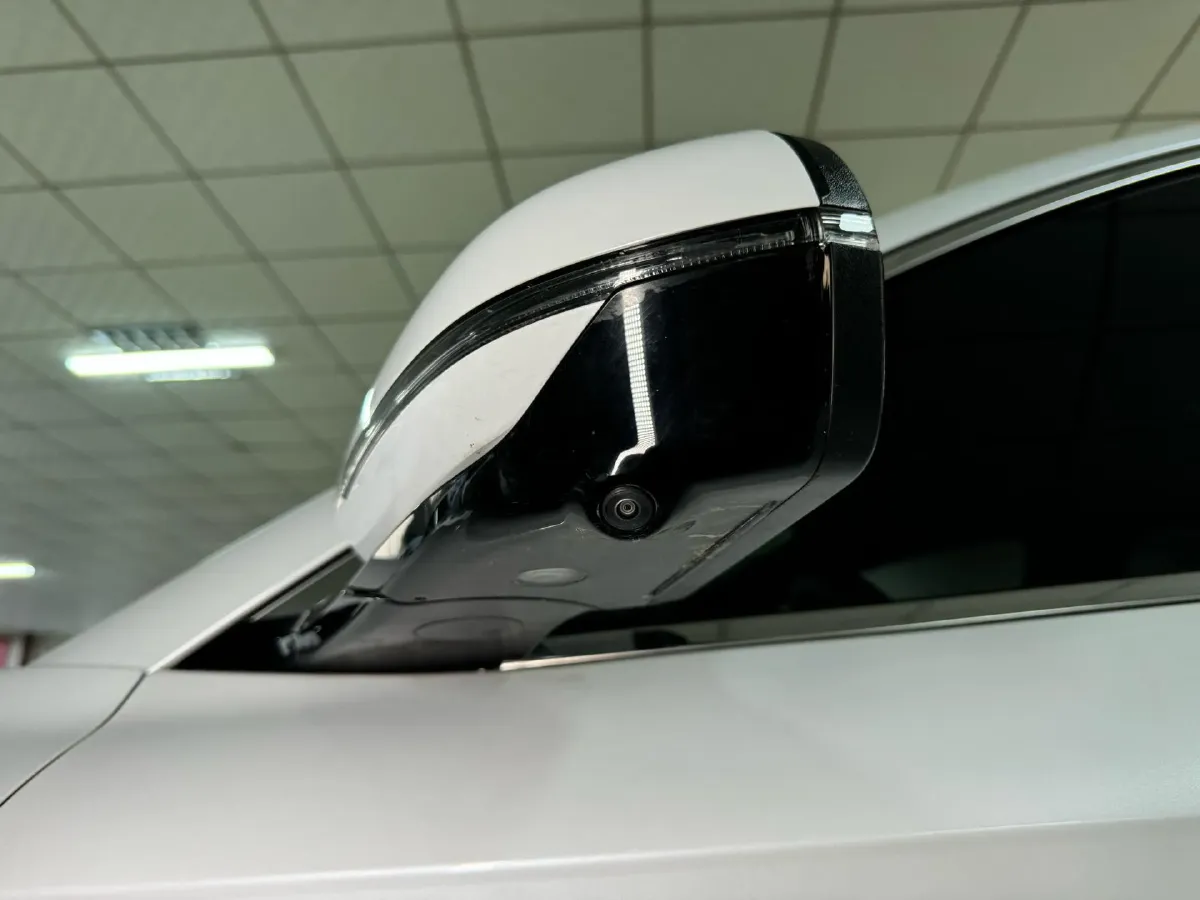 2021 SRM Sea Lion EV BEV 41.86KWH,autocango,china used car exporter,china ev exporter,chinese used car exporter,chinese used ev exporter