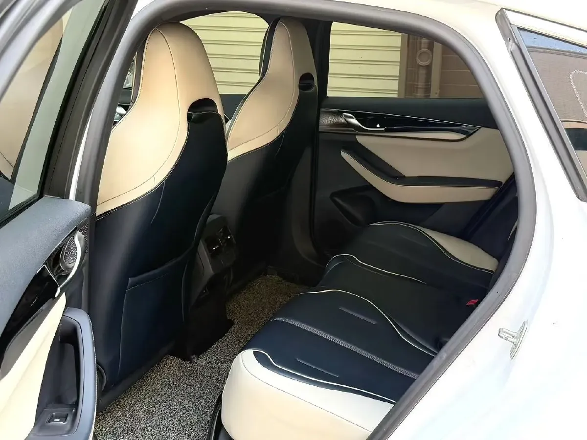 2021 DongFeng FuKang e Elysee BEV 30.7KWH,autocango,china used car exporter,china ev exporter,chinese used car exporter,chinese used ev exporter
