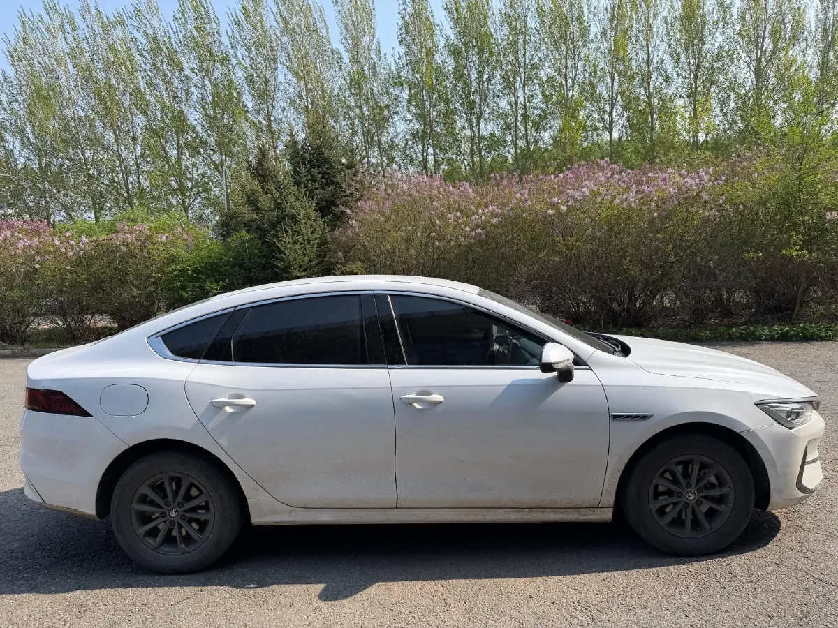2021 BYD Qin BEV 53.56KWH,autocango,china used car exporter,china ev exporter,chinese used car exporter,chinese used ev exporter
