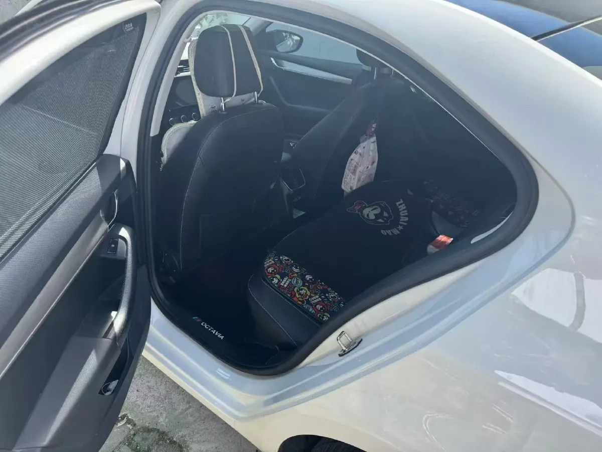2019 Skoda Octavia 1.5L 116HP L4 6AT,autocango,china used car exporter,china ev exporter,chinese used car exporter,chinese used ev exporter