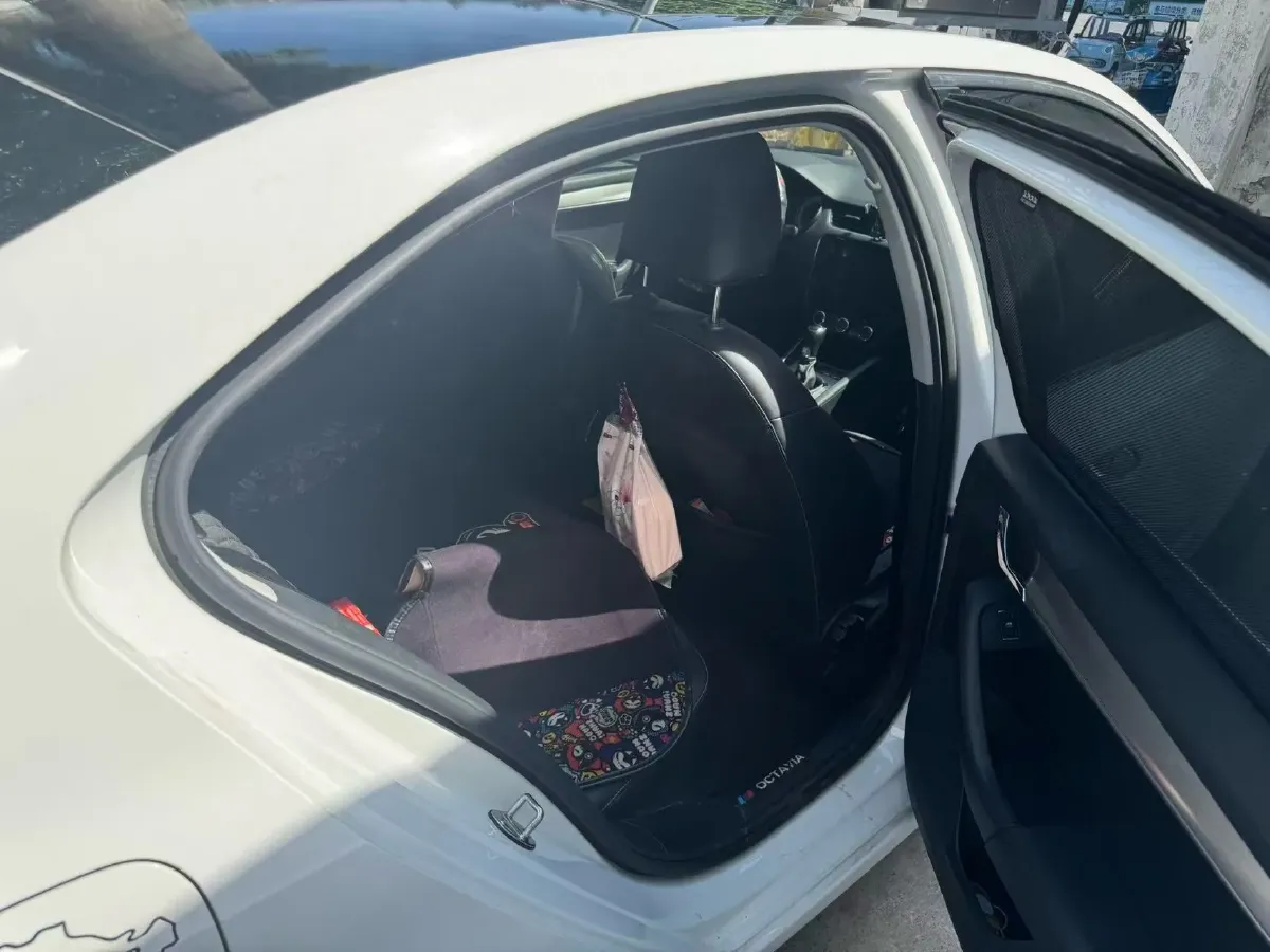 2019 Skoda Octavia 1.5L 116HP L4 6AT,autocango,china used car exporter,china ev exporter,chinese used car exporter,chinese used ev exporter