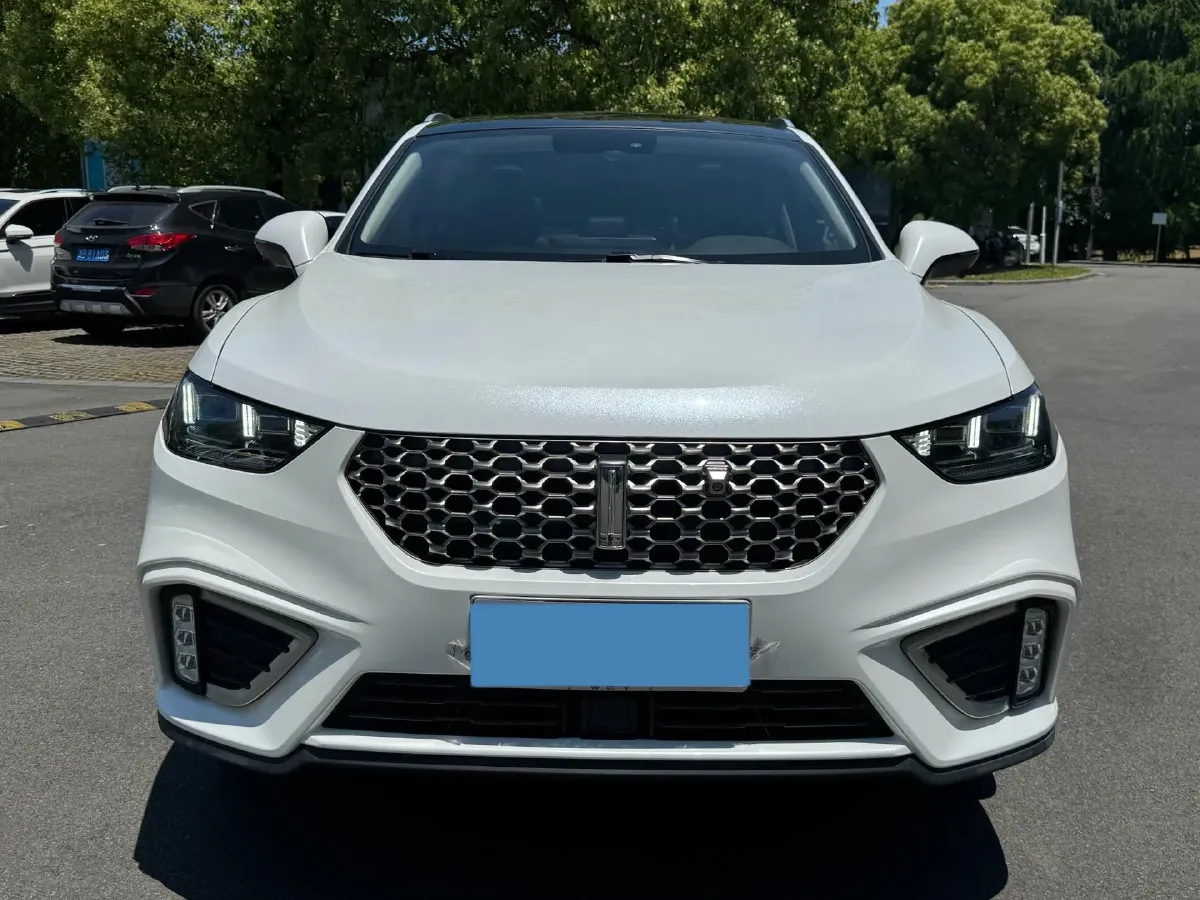 2020 WEY VV5 1.5T 171HP L4 7DCT,autocango,china used car exporter,china ev exporter,chinese used car exporter,chinese used ev exporter