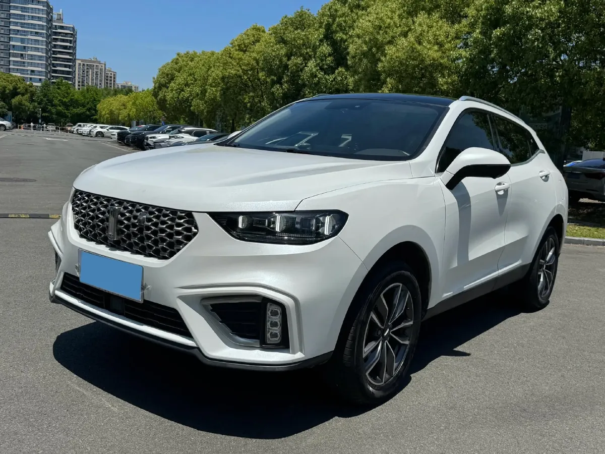 2020 WEY VV5 1.5T 171HP L4 7DCT,autocango,china used car exporter,china ev exporter,chinese used car exporter,chinese used ev exporter