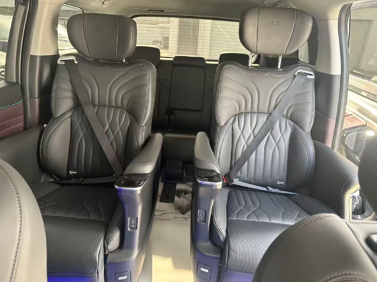 2024 GAC Trumpchi M8 2.0T 190HP L4 2DHT Hybrid,autocango,china used car exporter,china ev exporter,chinese used car exporter,chinese used ev exporter