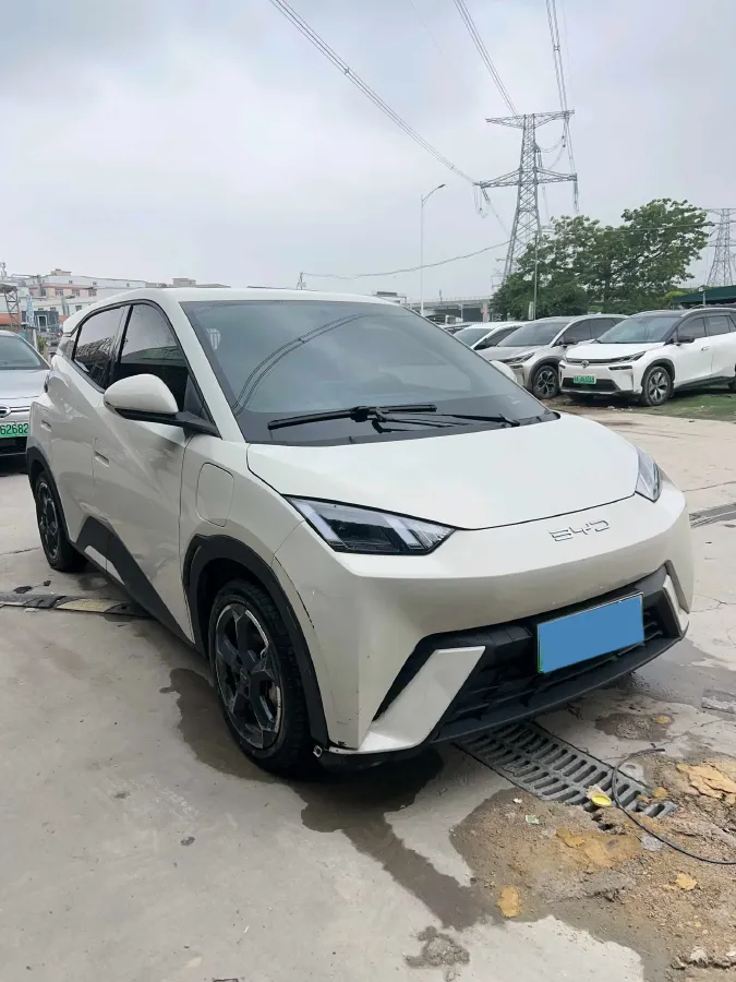 2024 BYD Seagull BEV 38.88KWH,autocango,china used car exporter,china ev exporter,chinese used car exporter,chinese used ev exporter