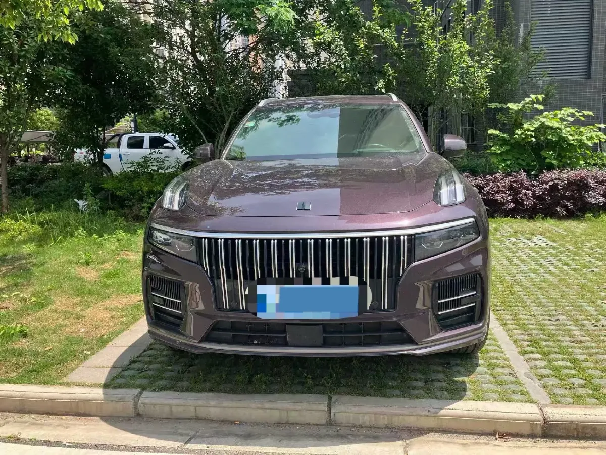 2021 Kia Carnival 2.0T 233HP L4 8AT,autocango,china used car exporter,china ev exporter,chinese used car exporter,chinese used ev exporter