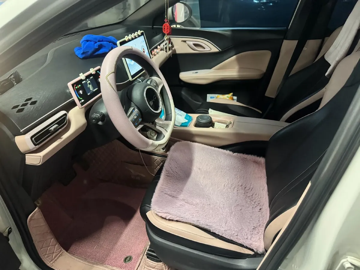 2024 BYD Seagull BEV 30.08KWH,autocango,china used car exporter,china ev exporter,chinese used car exporter,chinese used ev exporter