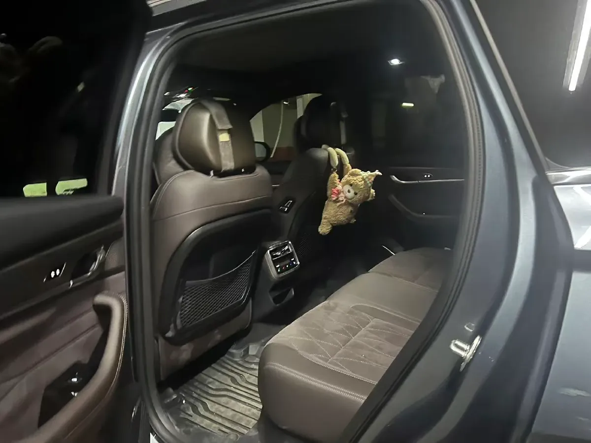 2026 Geely Monjaro 2.0T 272HP L4 8AT,autocango,china used car exporter,china ev exporter,chinese used car exporter,chinese used ev exporter
