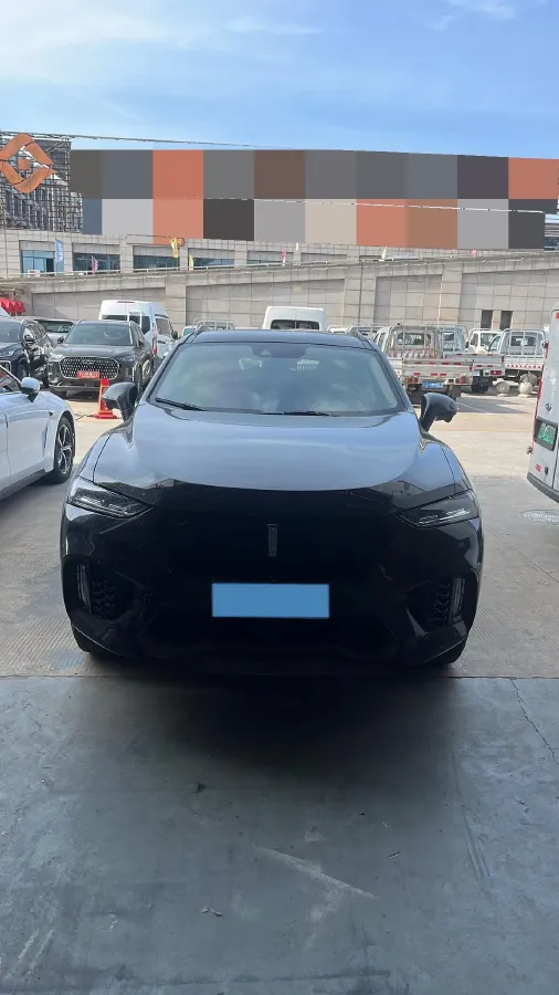 2019 WEY VV7 2.0T 234HP L4 7DCT,autocango,china used car exporter,china ev exporter,chinese used car exporter,chinese used ev exporter