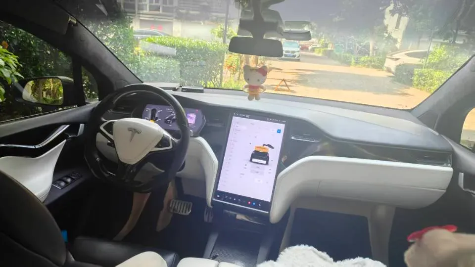 2019 Tesla Model X BEV 100KWH,autocango,china used car exporter,china ev exporter,chinese used car exporter,chinese used ev exporter