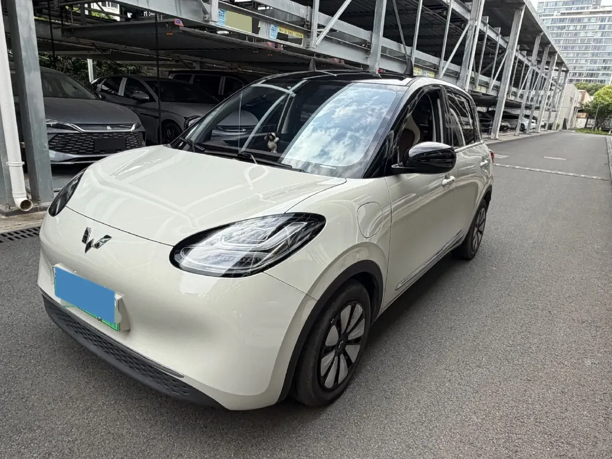 2023 WuLing BinGuo BEV 31.9KWH,autocango,china used car exporter,china ev exporter,chinese used car exporter,chinese used ev exporter