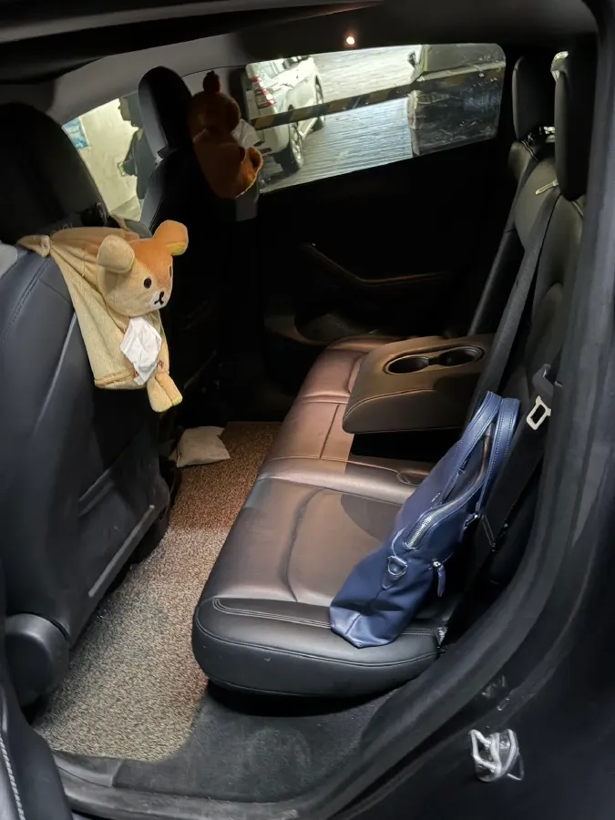 2021 Tesla Model 3 BEV 76.8KWH,autocango,china used car exporter,china ev exporter,chinese used car exporter,chinese used ev exporter