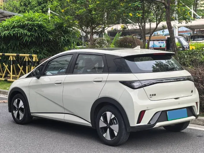 2023 BYD Dolphin BEV 44.928KWH,autocango,china used car exporter,china ev exporter,chinese used car exporter,chinese used ev exporter