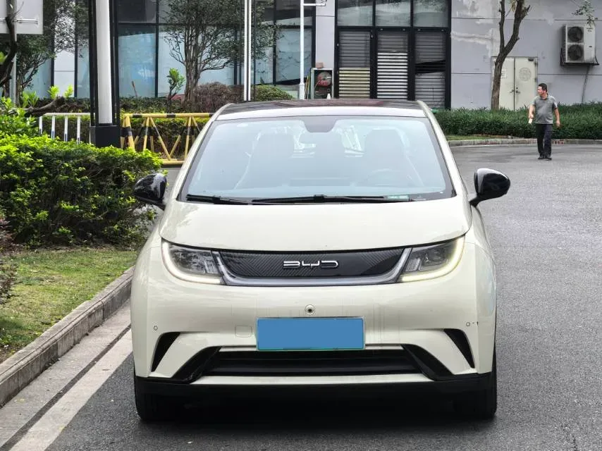 2023 BYD Dolphin BEV 44.928KWH,autocango,china used car exporter,china ev exporter,chinese used car exporter,chinese used ev exporter