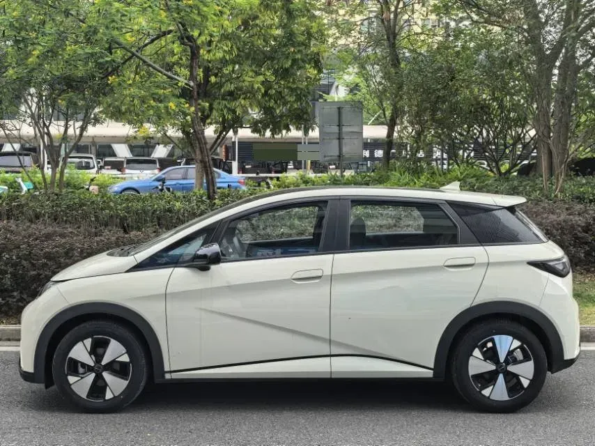 2023 BYD Dolphin BEV 44.928KWH,autocango,china used car exporter,china ev exporter,chinese used car exporter,chinese used ev exporter