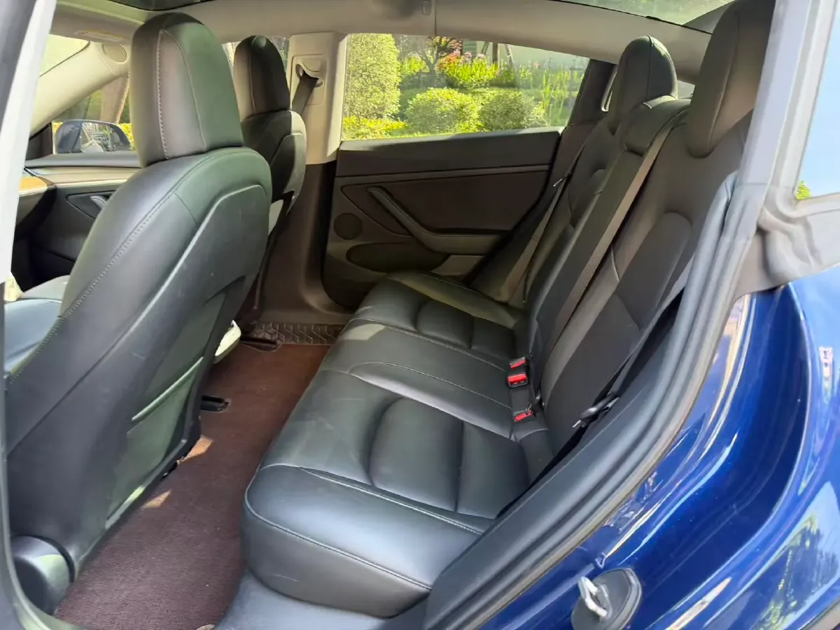 2021 Tesla Model 3 BEV 55KWH,autocango,china used car exporter,china ev exporter,chinese used car exporter,chinese used ev exporter