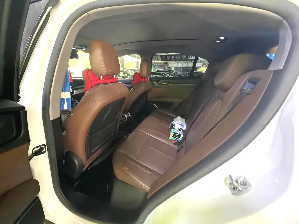 2017 Lexus NX 2.0T 238HP L4 6AT,autocango,china used car exporter,china ev exporter,chinese used car exporter,chinese used ev exporter