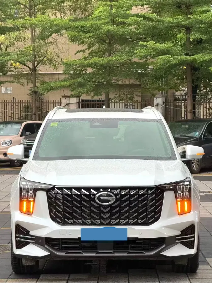 2022 GAC Trumpchi GS8 2.0T 252HP L4 8AT,autocango,china used car exporter,china ev exporter,chinese used car exporter,chinese used ev exporter