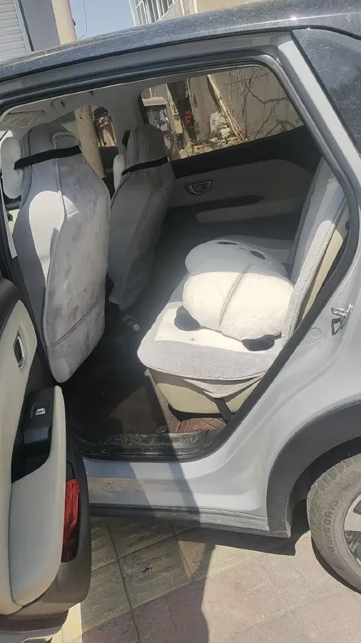 2024 WuLing BinGuoPLUS BEV 31.9KWH,autocango,china used car exporter,china ev exporter,chinese used car exporter,chinese used ev exporter