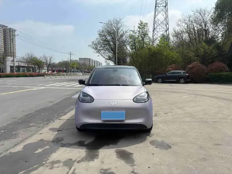 2025 WuLing BinGuo BEV,autocango,china used car exporter,china ev exporter,chinese used car exporter,chinese used ev exporter
