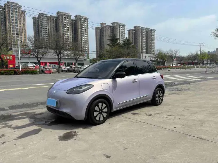 2025 WuLing BinGuo BEV,autocango,china used car exporter,china ev exporter,chinese used car exporter,chinese used ev exporter