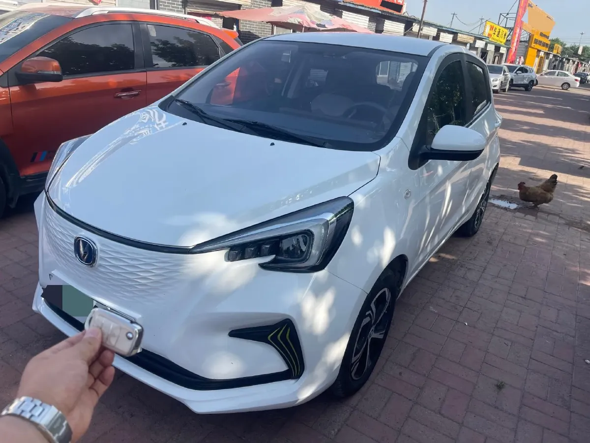 2022 ChangAn BenBen E-Star BEV 31.95KWH,autocango,china used car exporter,china ev exporter,chinese used car exporter,chinese used ev exporter