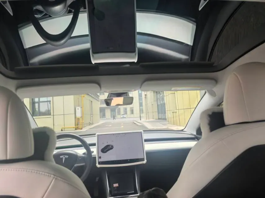 2020 Tesla Model 3 BEV 52KWH,autocango,china used car exporter,china ev exporter,chinese used car exporter,chinese used ev exporter